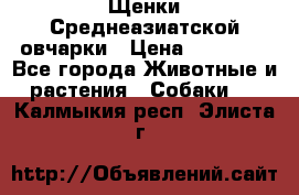 Щенки Среднеазиатской овчарки › Цена ­ 30 000 - Все города Животные и растения » Собаки   . Калмыкия респ.,Элиста г.